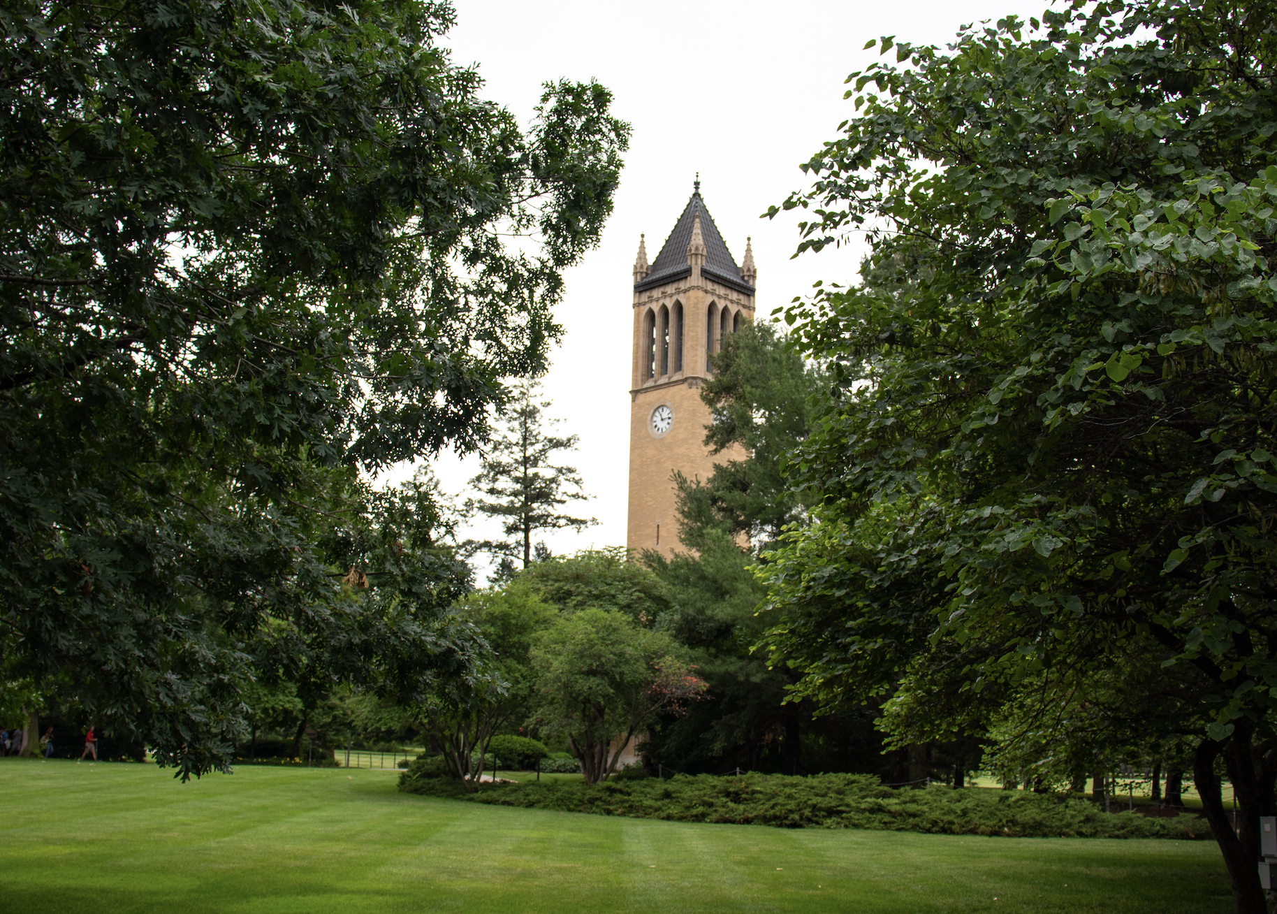 Campanile in trees from southeast angle